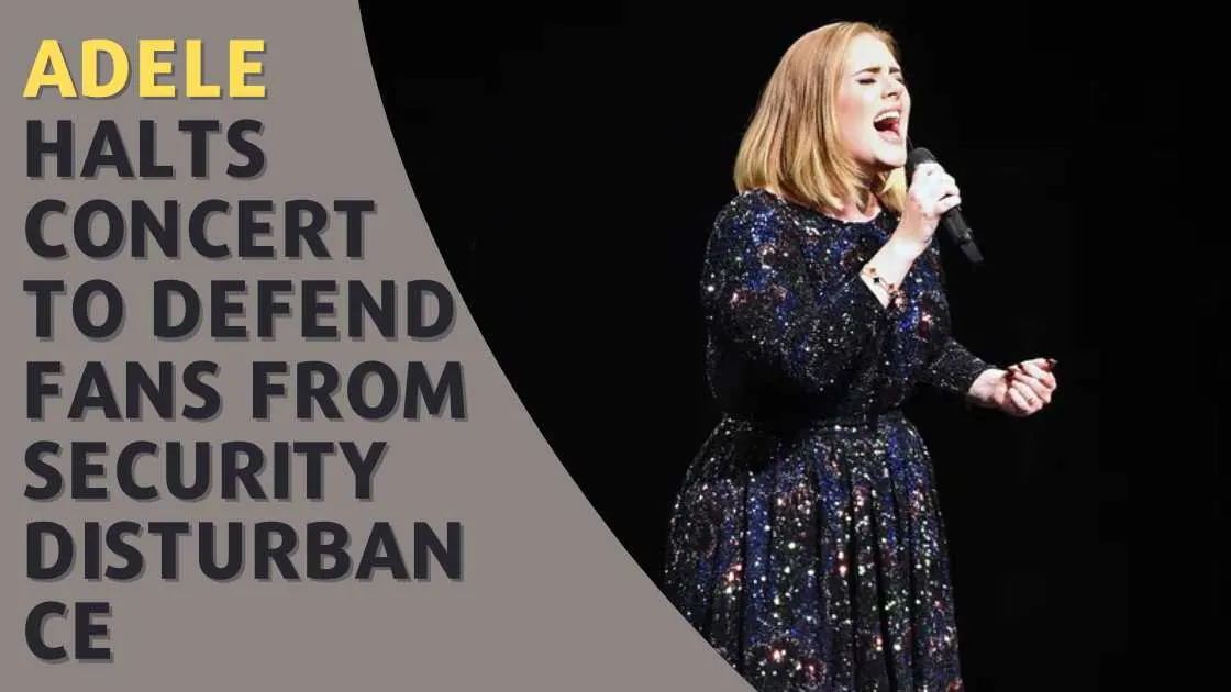 Adele Halts Concert to Defend Fans from Security Disturbance (2)