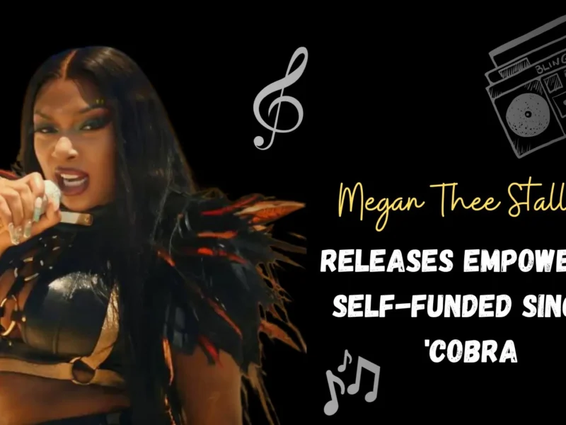 Rapper Megan Thee Stallion Releases Empowering Self-Funded Single 'Cobra'