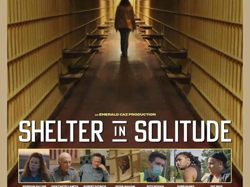 Shelter in Solitude Soundtrack