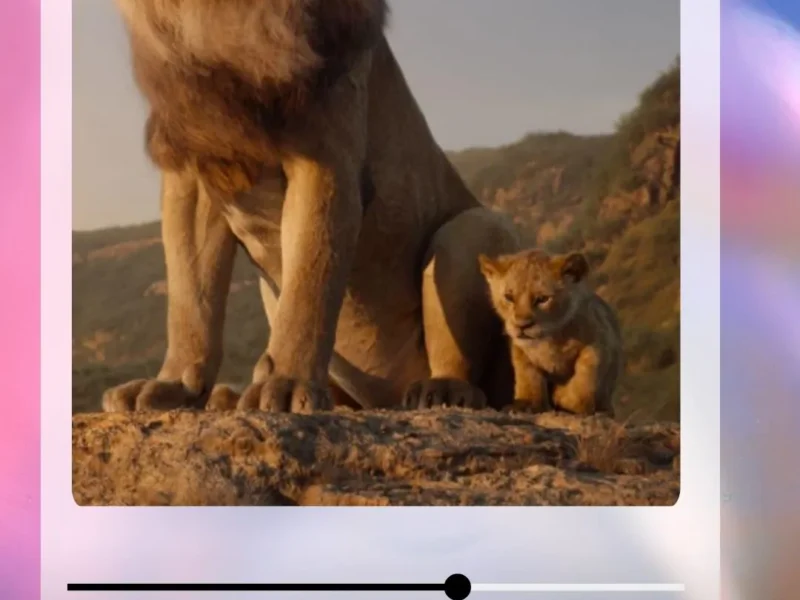 Lion King Soundtrack (2019 film)